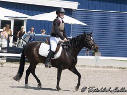 img-99461-604